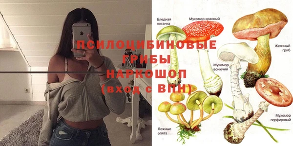 стафф Абаза