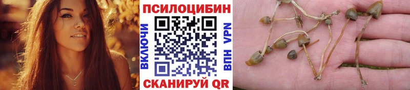мориарти какой сайт  купить наркотик  Каменногорск  Галлюциногенные грибы GOLDEN TEACHER 
