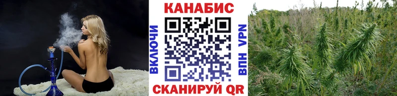 Марихуана THC 21%  как найти   Каменногорск 